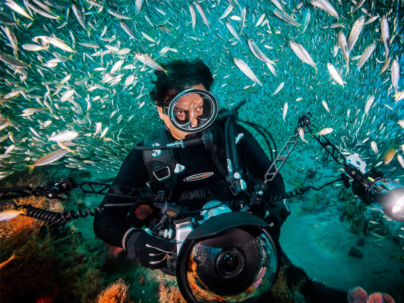 National Geographic Live: David Doubilet & Jennifer Hayes at Fred Kavli Theatre